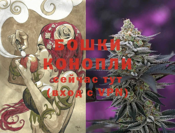СК Волосово