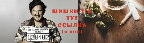СК Волосово