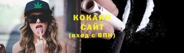 СК Волосово