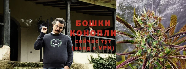 СК Волосово