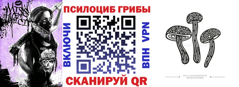 Купить где  Красноярск  Псилоцибиновые грибы ЛСД 