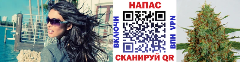 Бошки марихуана сатива  Купить  Красноярск 